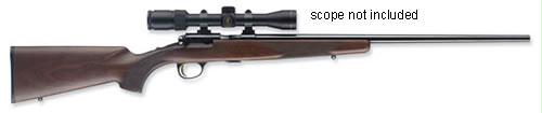 T-bolt 17hmr Sporter Bl-walnut