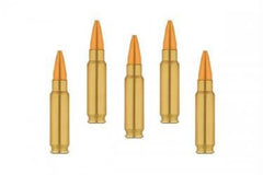 Accessory-Ammunition