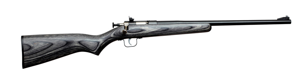 Crickett 22lr Bl-black Lam