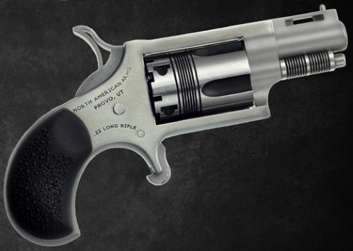 The Wasp 22lr Rev 1-1-8 Ss