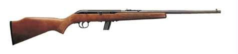 22lr Semi-auto 10sh W-sight