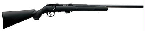 Bolt 17hm2 Bl-syn 10+1 20.75