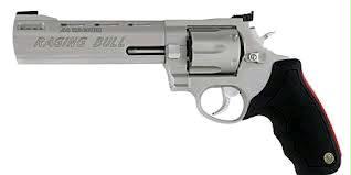 Raging Bull 44mag Ss 6.5 6sh